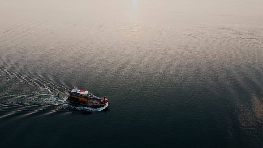 陈子韩/上帝视角