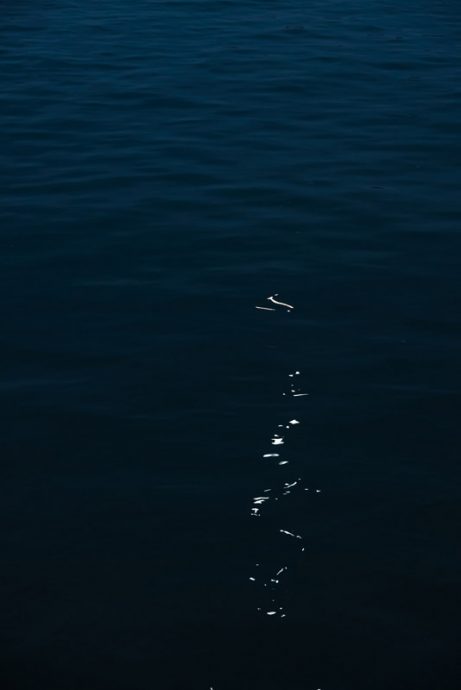 陈子韩／海面上的光