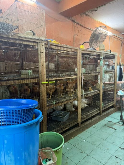 隆市局突击违规屠宰场  充公110只鸡鸭