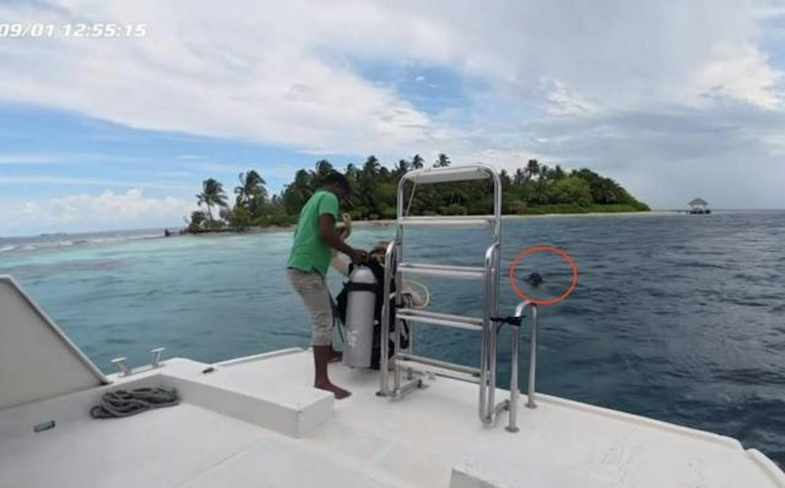 马尔代夫潜水被遗留海面 女子海上漂流45分钟终获救