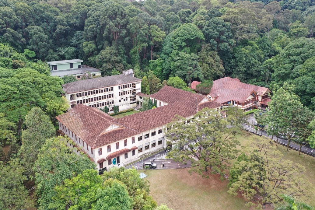 鼎翰处理/大都会/都会全视角-14日见报/专访:探索世遗人造林夜间之美