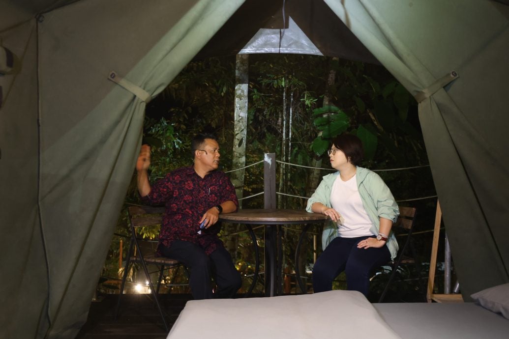 鼎翰处理/大都会/都会全视角-14日见报/专访:探索世遗人造林夜间之美