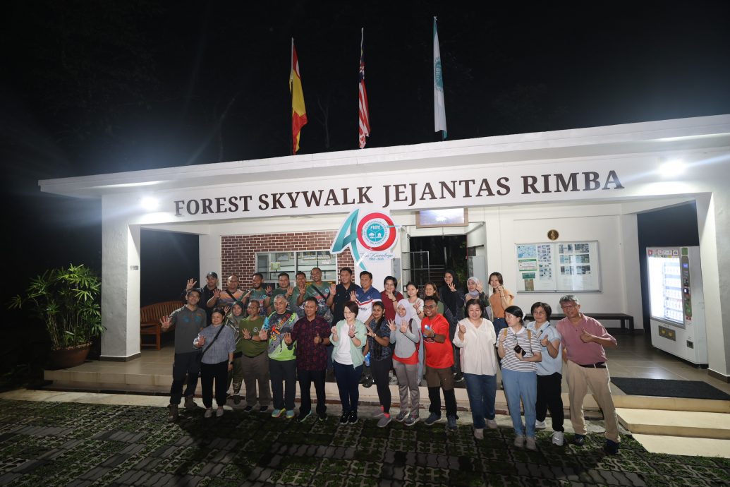 鼎翰处理/大都会/都会全视角-14日见报/专访:探索世遗人造林夜间之美