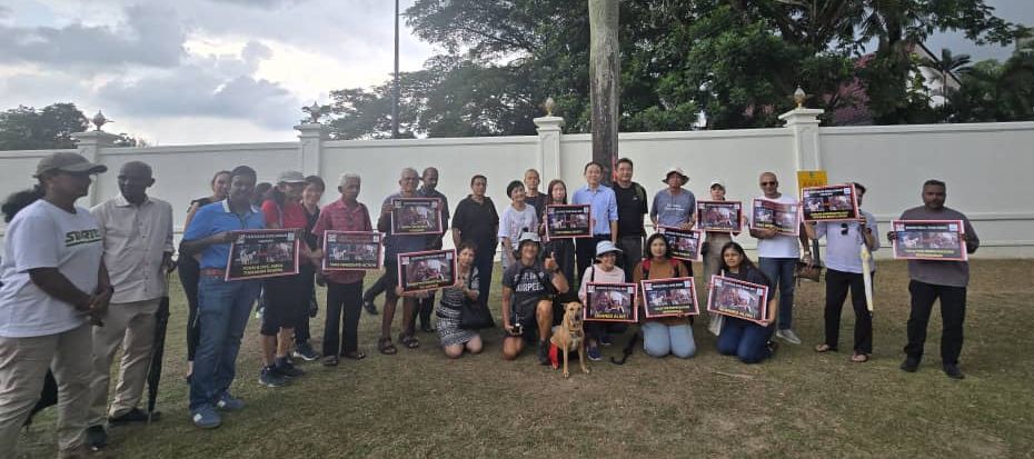 （全国版）“表妹”被剥皮事件奖赏10万1100令吉