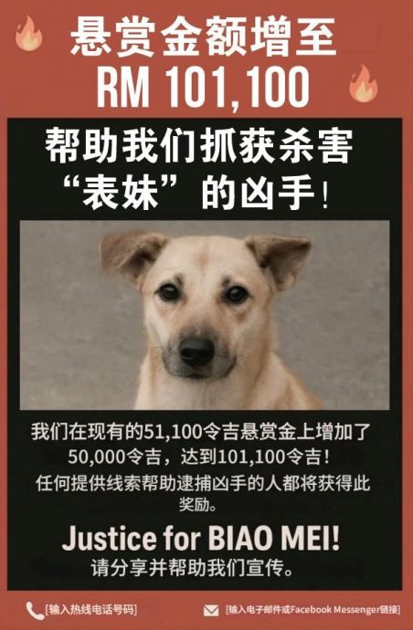 （全国版）“表妹”被剥皮事件奖赏10万1100令吉