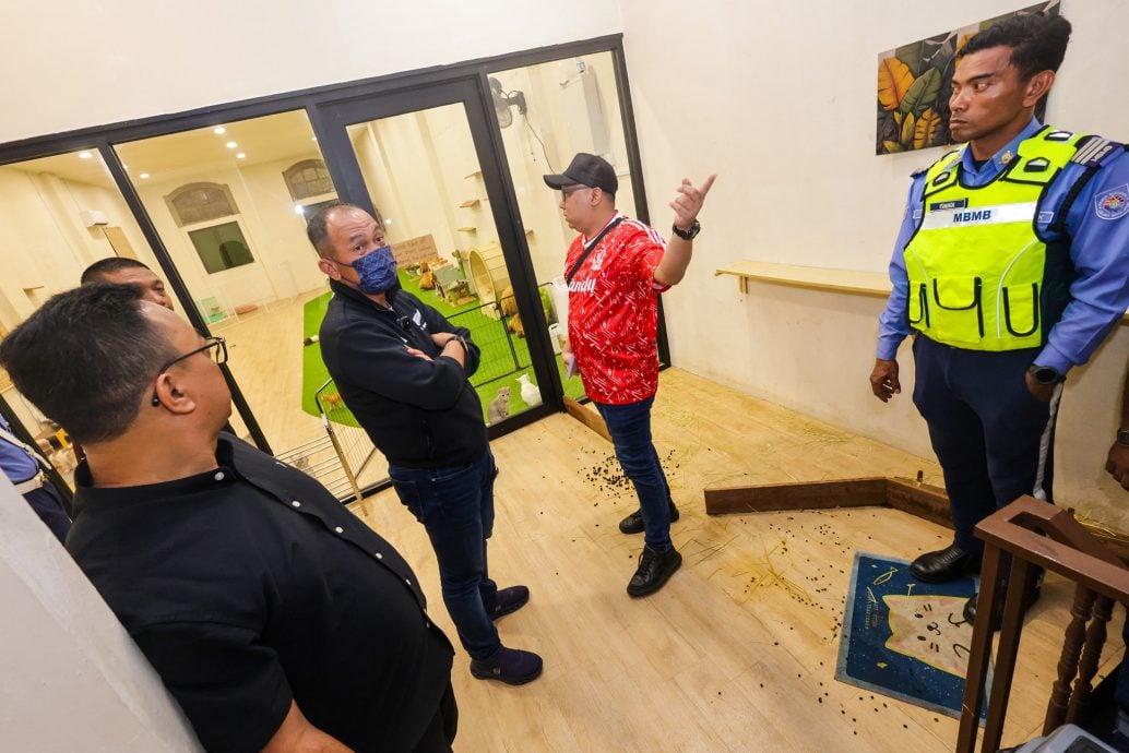 （全国版）餐室内展示羊驼及多达22只动物遭罚逾万及关闭7天