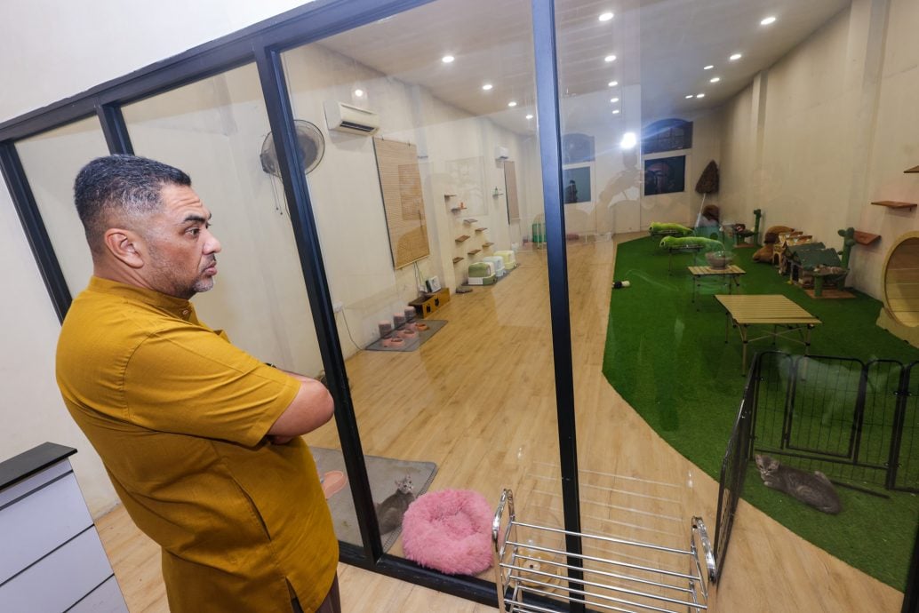 （全国版）餐室内展示羊驼及多达22只动物遭罚逾万及关闭7天