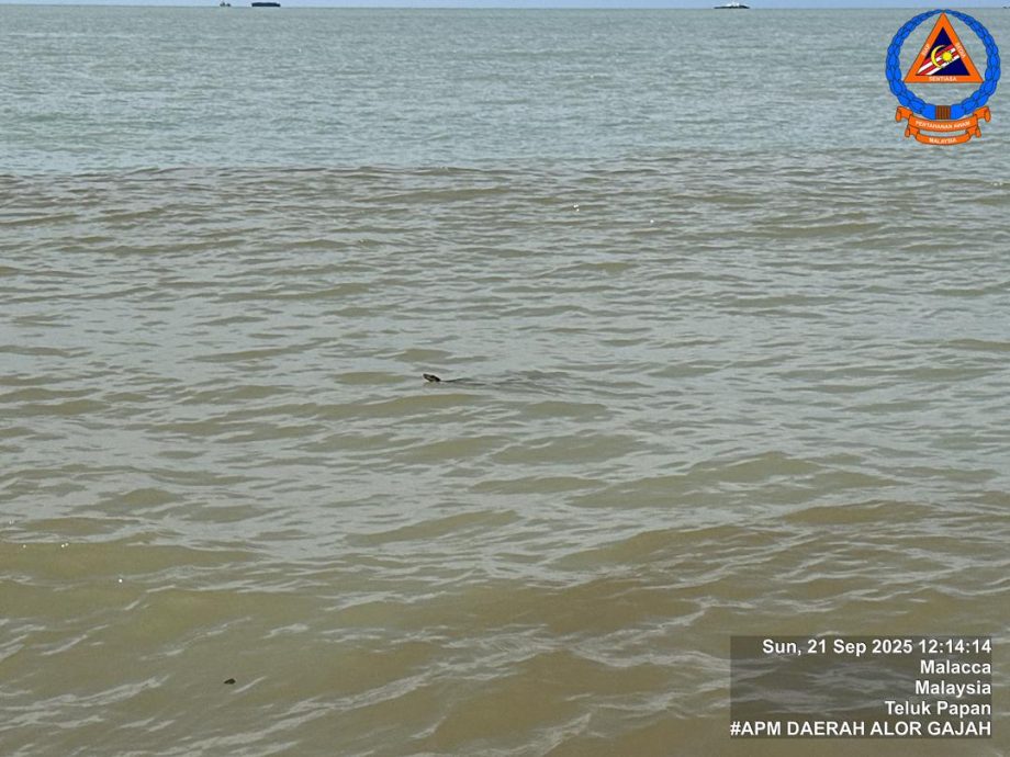 （古城封面副文）蟒蛇出游至丹绒比达拉海浴场