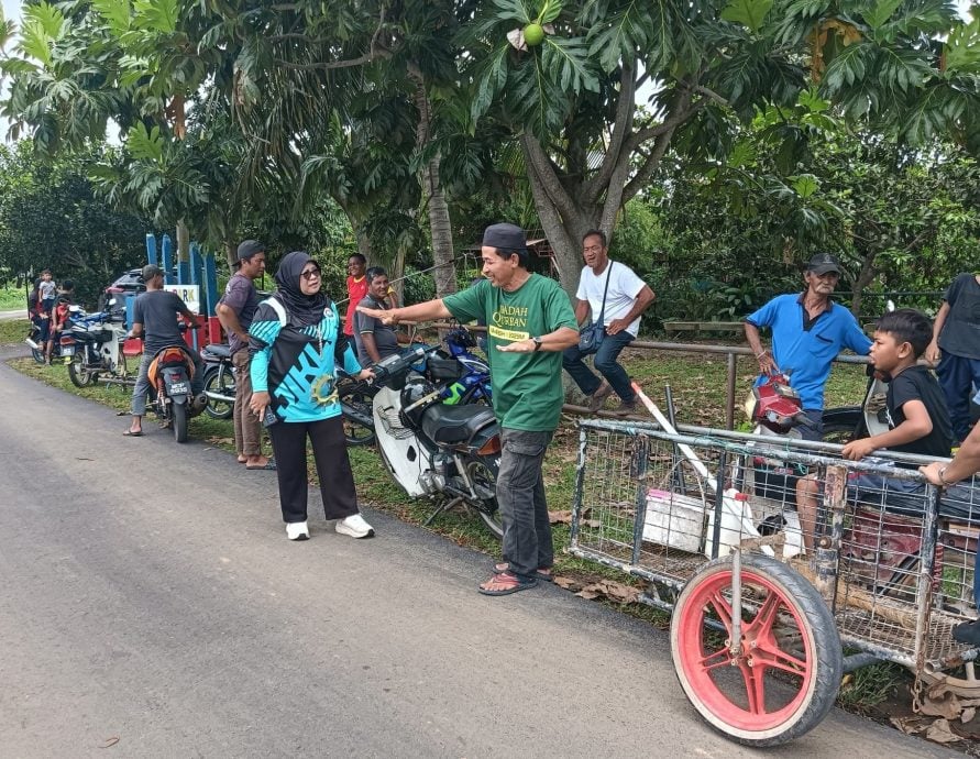 (古城版)冬牙峇株出现鳄鱼