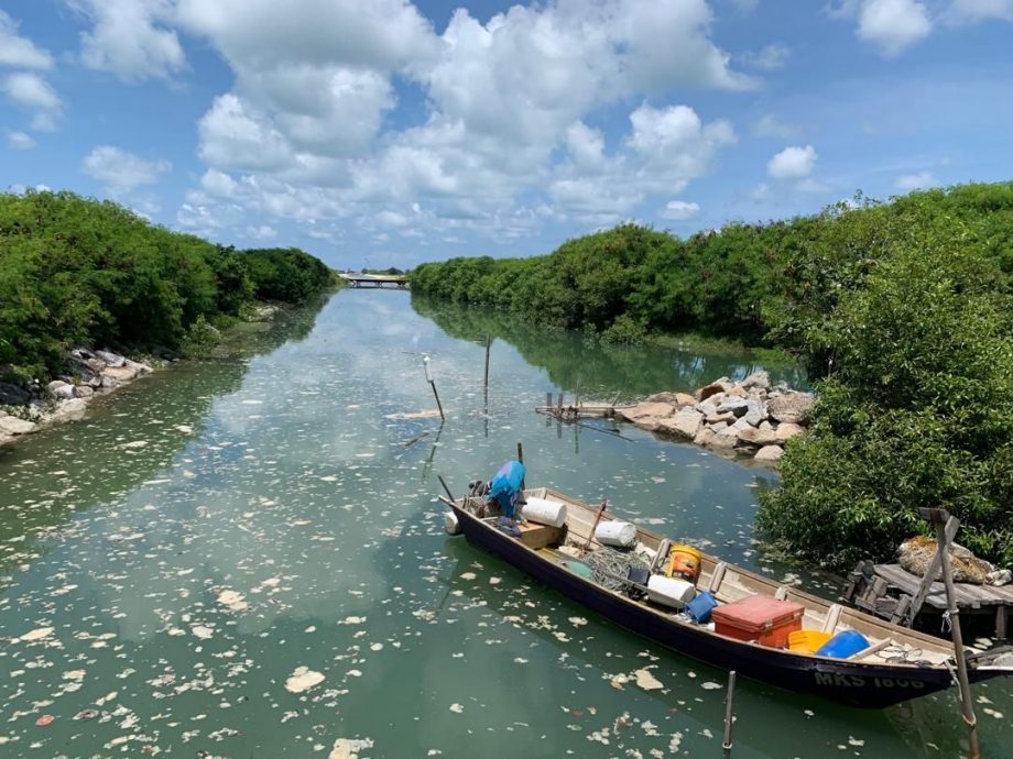 （古城第三版主文）刘志俍建议向联邦政府申请拨款 设立水闸门减灾情