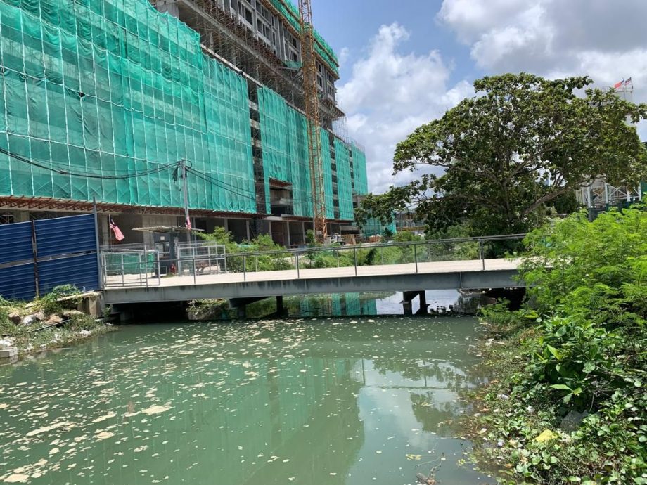 （古城第三版主文）刘志俍建议向联邦政府申请拨款 设立水闸门减灾情