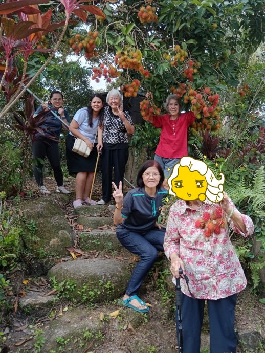 职业指南针 | 许秀云 乐龄关怀服务工作者   用心陪伴 让长者“越动越好”