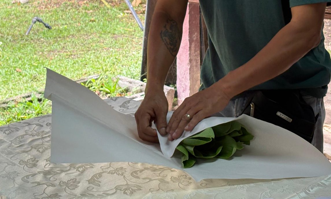 （大北马）主文/槟消协减塑活动分享