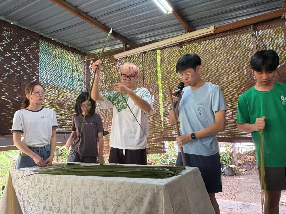 （大北马）主文/槟消协减塑活动分享