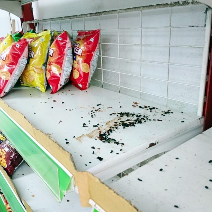 （大北马）外籍人士非法杂货店 货架满布老鼠粪