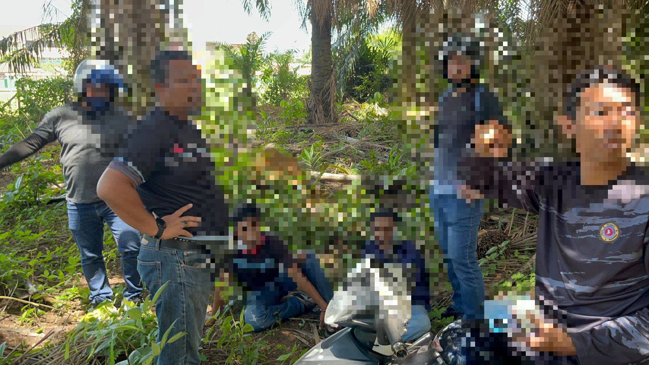 (大北马)毒贩分装毒品时落网 17人涉毒被抓