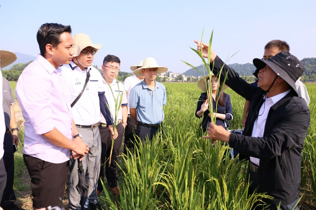 （大北马）法米访福建农林大学