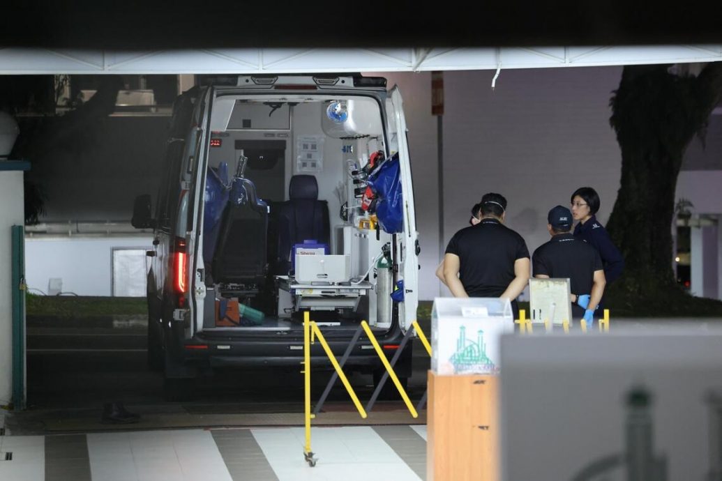 （已签发）全国：狮城二三事：狮城多间清真寺  接疑似猪肉包裹