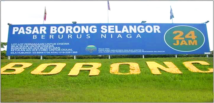 （已签发）大都会版2头/雪兰莪批发市场取缔行动，有无准证外劳一并带走