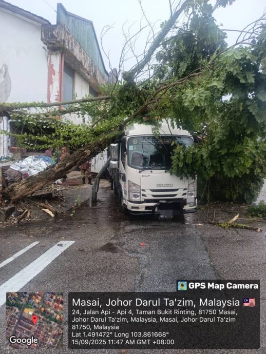 (已签发)柔:20呎树倒扯断电线杆 压毁罗里幸无伤亡
