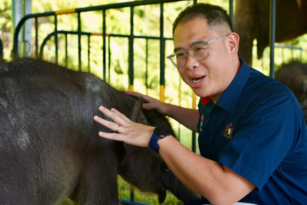 （已签发）柔：**封面补文**柔政府通过各措施  助减人象冲突个案