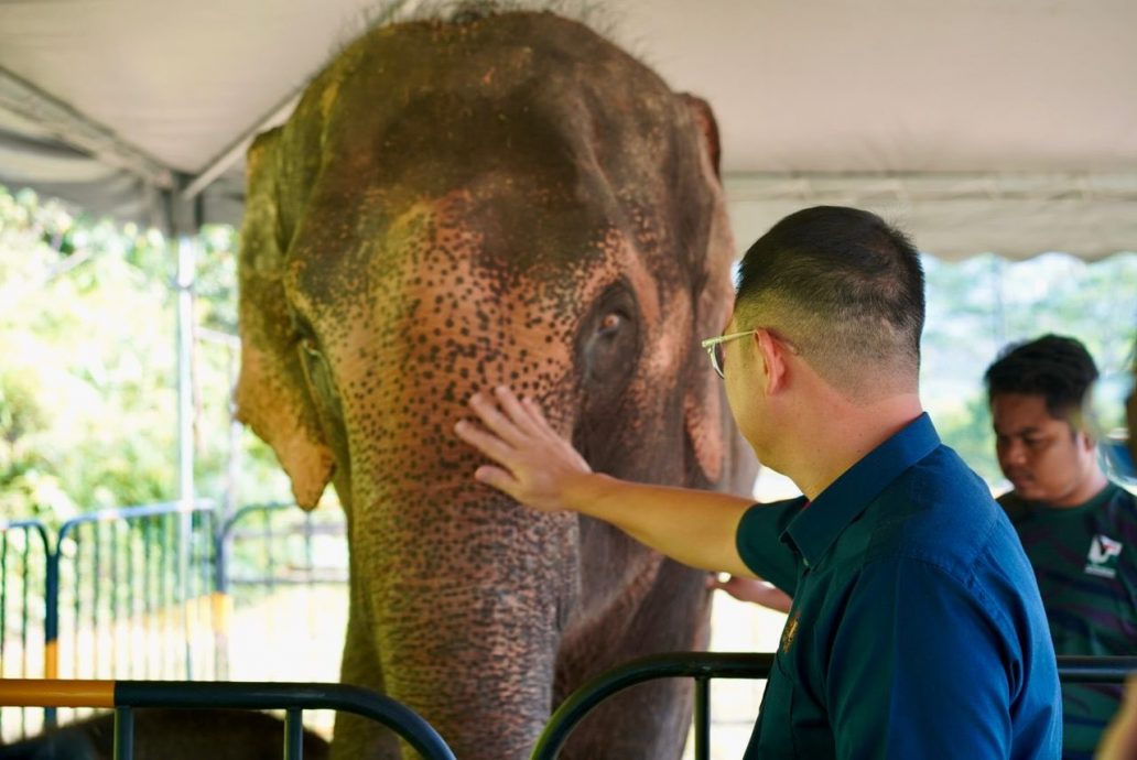 （已签发）柔：**封面补文**柔政府通过各措施  助减人象冲突个案