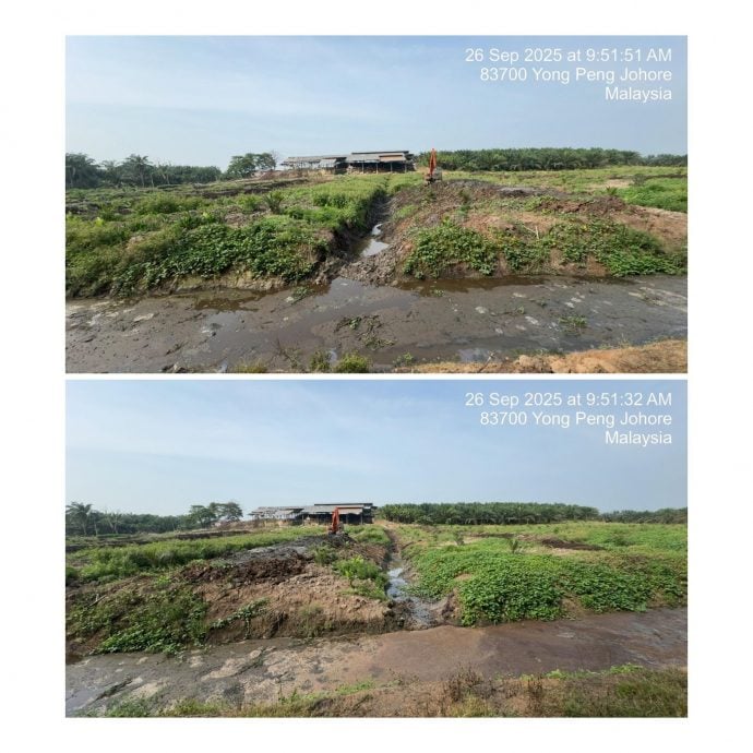 柔环境局建议   阻断鸡粪厂周围排水沟