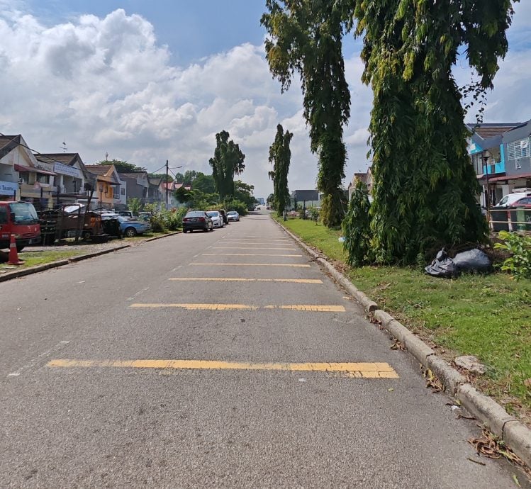 （已签发）柔：民生特工队：关闭多年路口重开即肇祸   新东方花园居民吁提升安全措施