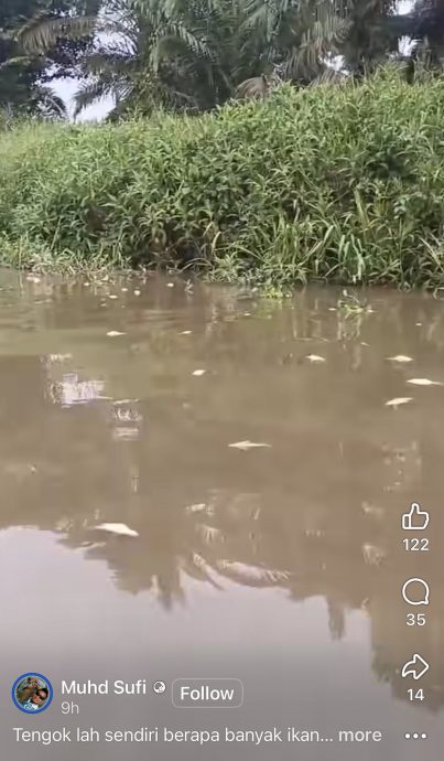 （已签发）柔：永平彼咯河疑遭污染   当局查鱼群死亡事件