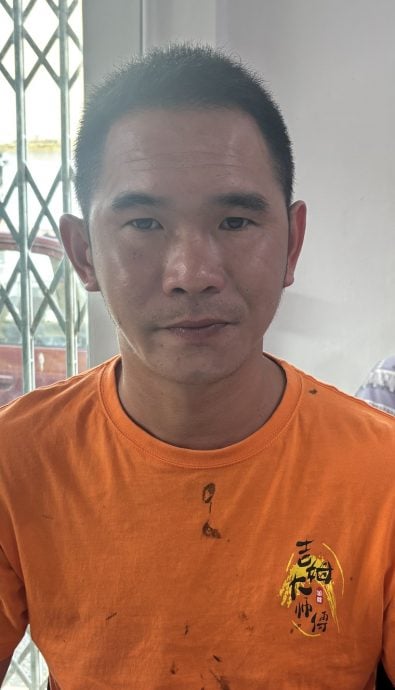 (已签发)柔:**版二头**彼咯园地遭破坏园主苦不堪言 盼当局尽快解决野象问题