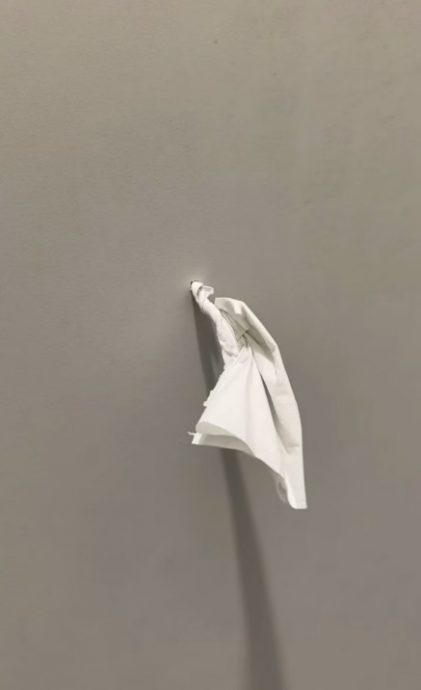 （已签发）柔：狮城二三事：学生举报女厕疑有偷拍装置 国大查明为厕纸架螺丝