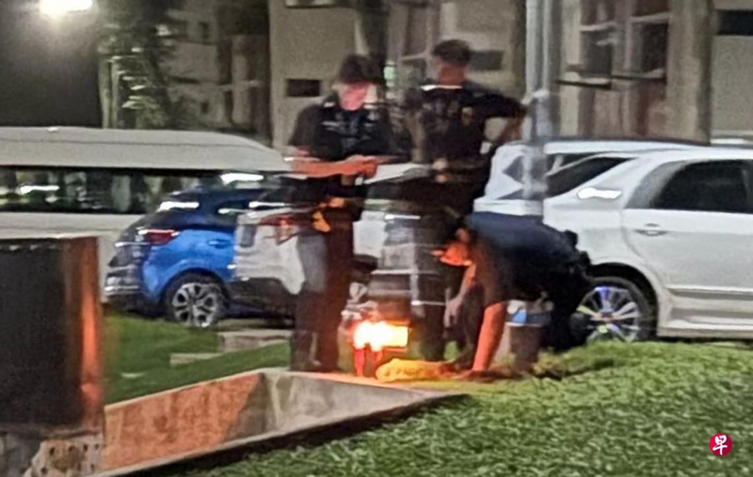 (已签发)柔:狮城二三事:有人手持武器?男子拿锄头挖洞埋龟尸 惊动警员到场“挖尸”