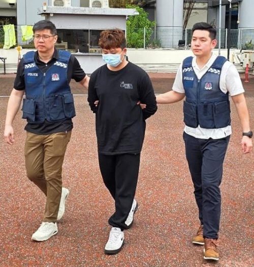 （已签发）柔：狮城二三事：涉多起假冒政府官员案  马新警方合作捕31岁大马男