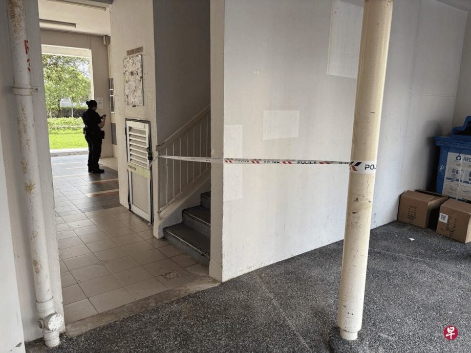 （已签发）柔：狮城二三事：清晨组屋现血案  男子持刀砍伤邻居  