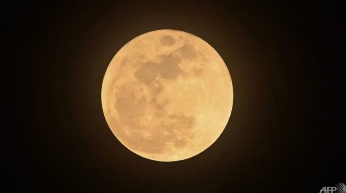 （已签发）柔：狮城二三事：狮城10月迎超级月亮“丰收月”及天龙座流星雨