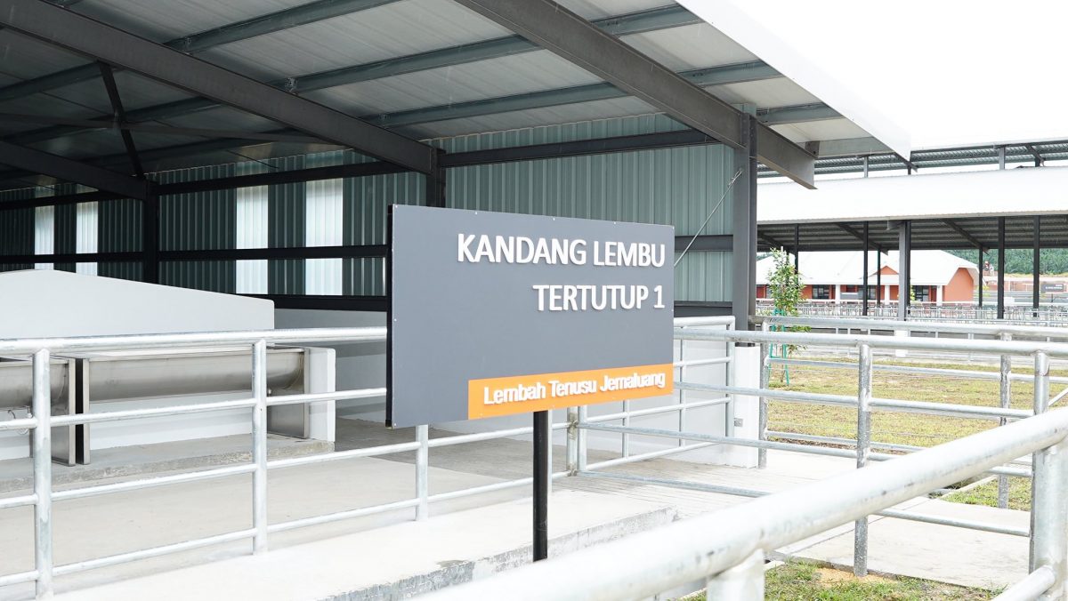 （已签发）柔：JDV综合园区年底运作   首批千头乳牛10月起分阶段运抵