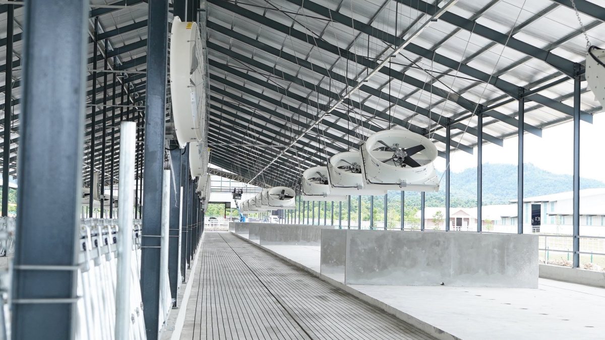 （已签发）柔：JDV综合园区年底运作   首批千头乳牛10月起分阶段运抵