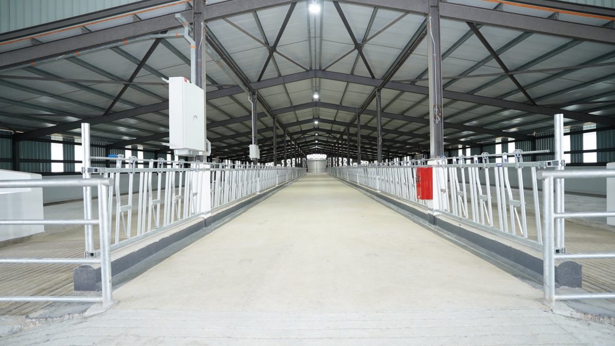 （已签发）柔：JDV综合园区年底运作   首批千头乳牛10月起分阶段运抵