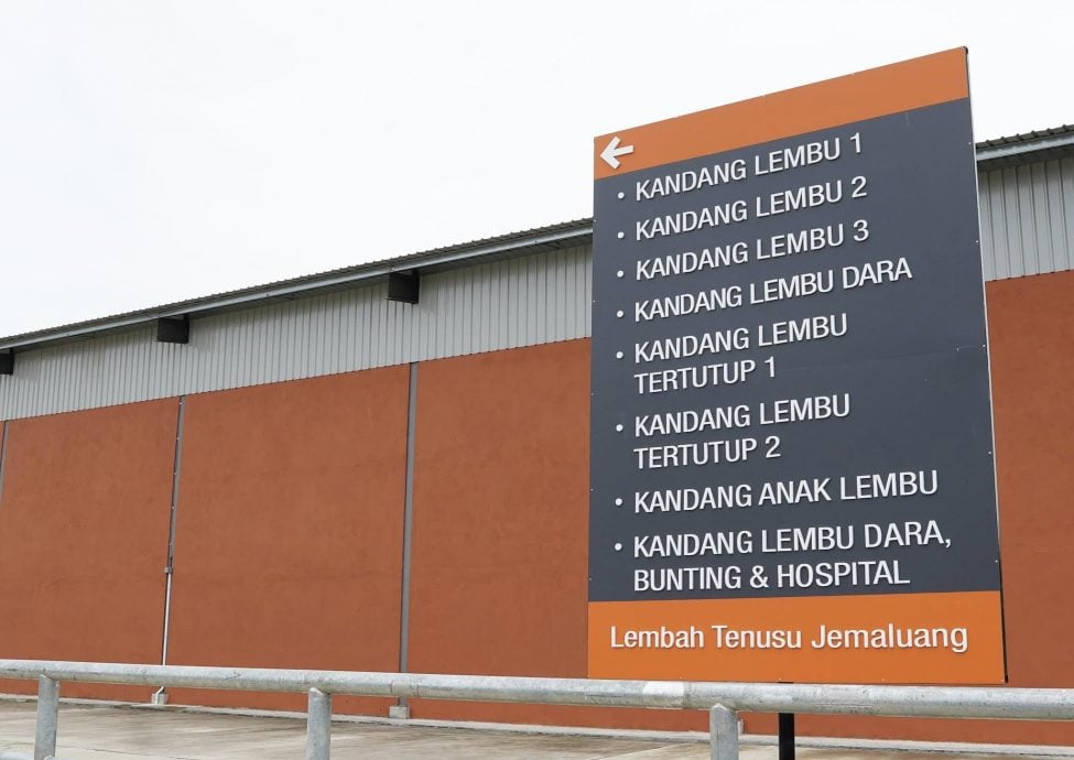 （已签发）柔：JDV综合园区年底运作   首批千头乳牛10月起分阶段运抵