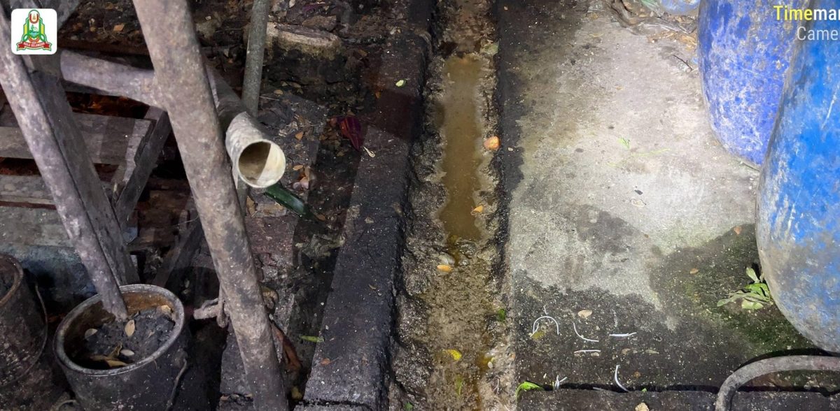 (早报头)大都会:又有餐馆太脏被查封/8图