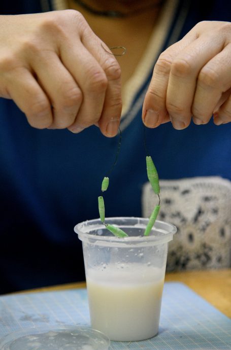 （预编18/9见报）大都会／星洲人／13图