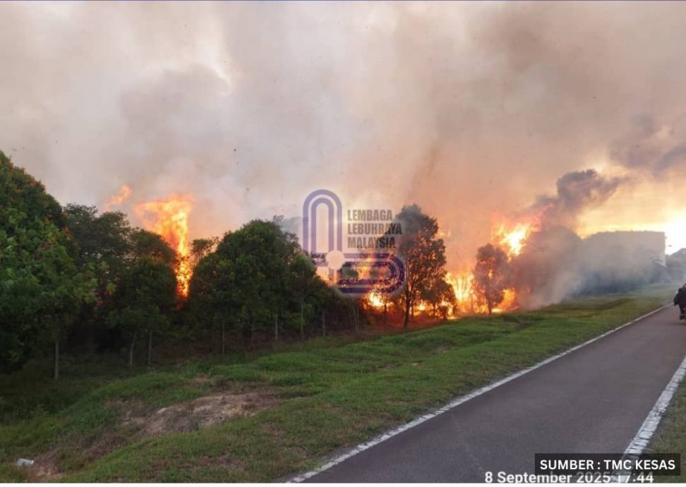 KESAS旁林火狂烧 林火面积达8英亩