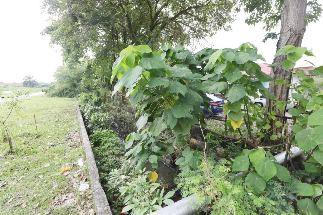 me03主文-大都会/雪有超过500公里无主沟渠,将由地方政府和JPS认领权责/6图