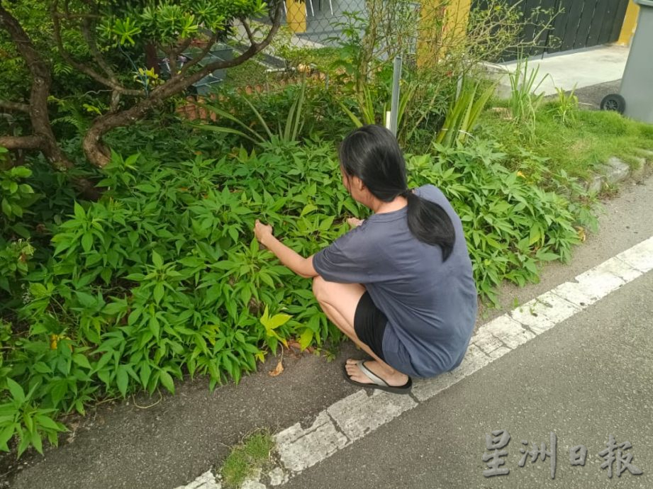 （已签发）柔：星洲基金（9月2日刊）：丈夫病逝留妻带4孩   家庭陷困境盼援助