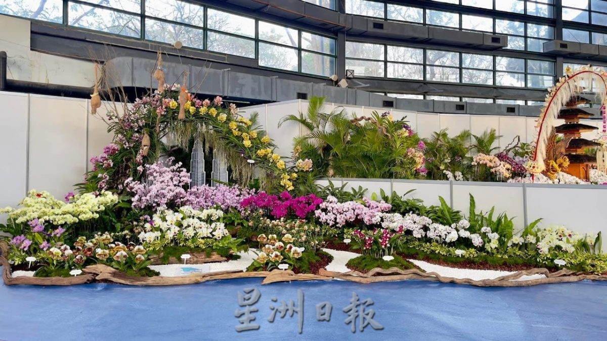 (大北马)黄汉伟2025年槟城兰花展新闻发布会