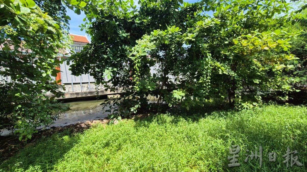 （古城第四版主文）甘榜爪哇压屋树干已被清理