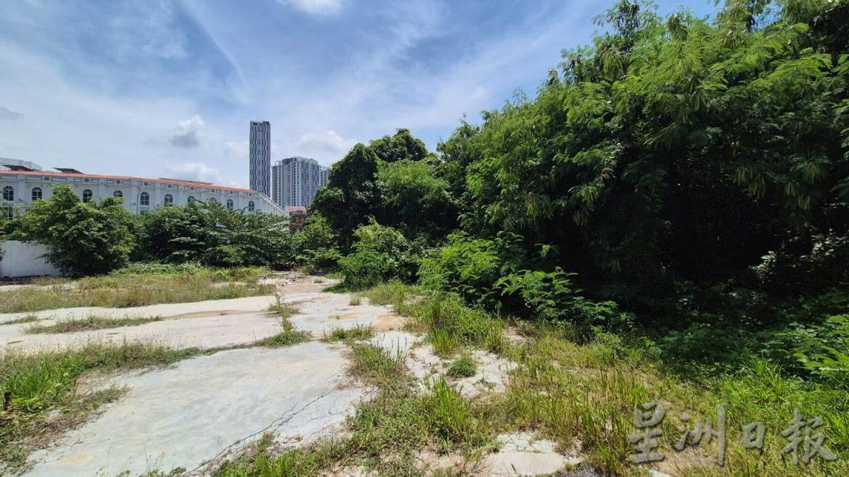 （古城第四版主文）甘榜爪哇压屋树干已被清理