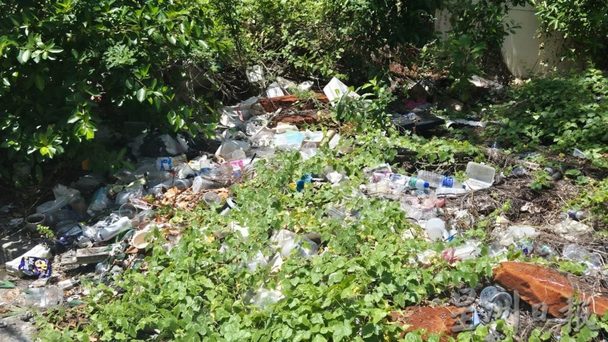 （古城第四版主文）甘榜爪哇压屋树干已被清理