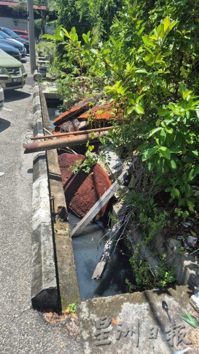 （古城第四版主文）甘榜爪哇压屋树干已被清理