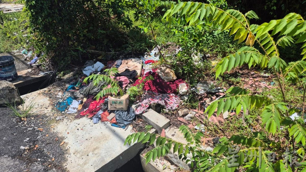 （古城第四版主文）甘榜爪哇压屋树干已被清理